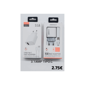 10 USB-C Fast Charger (3.1A)